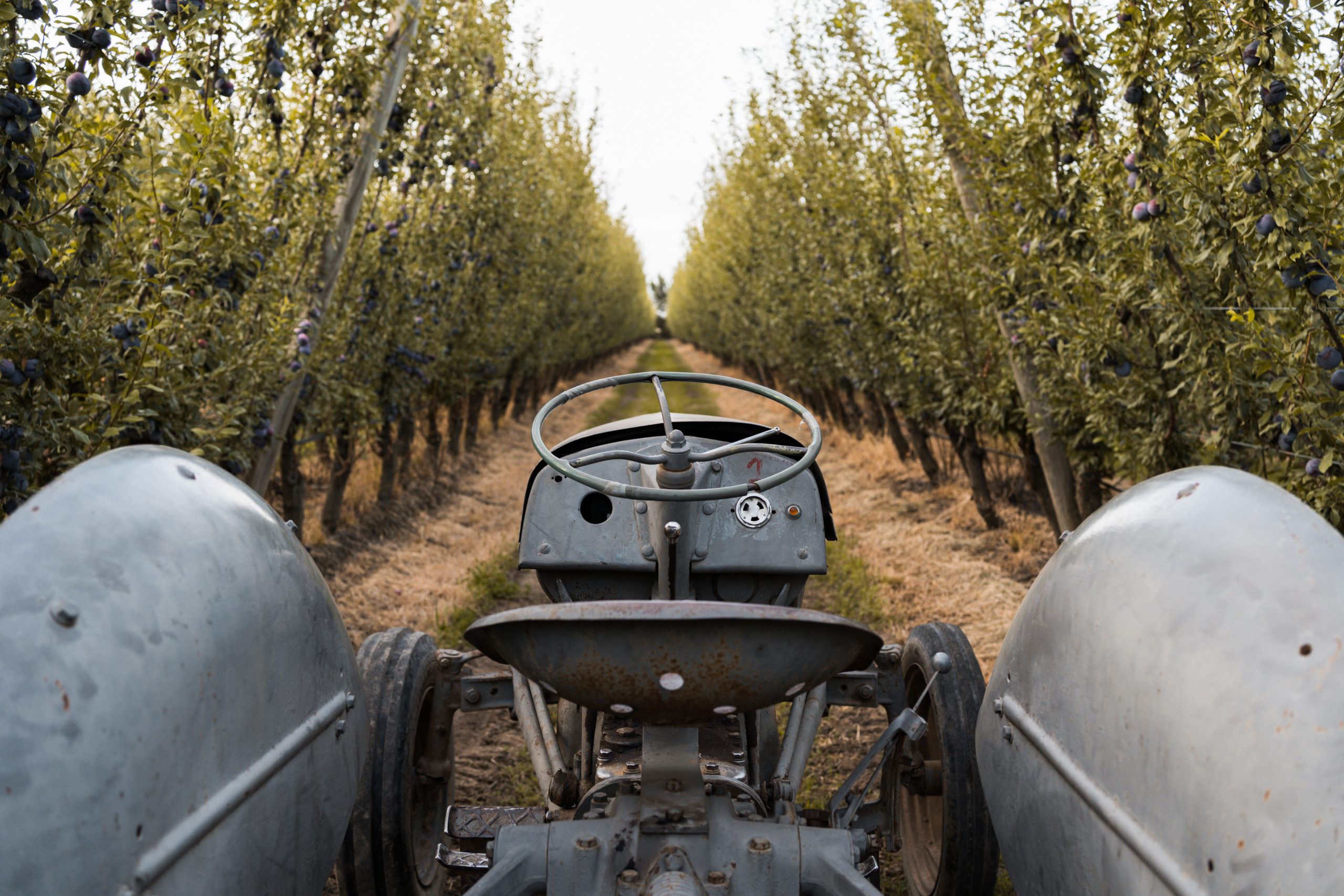 TrueTribe_200302_DG016